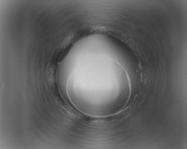 X0000080800708200701122215