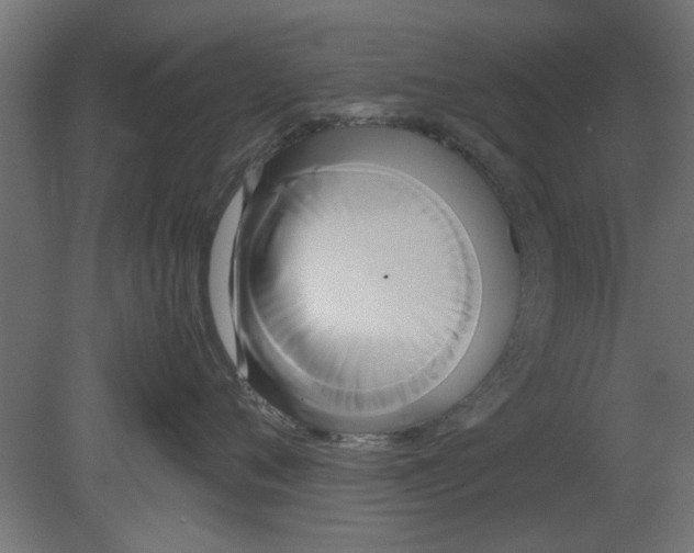 X0000080800720200701122214