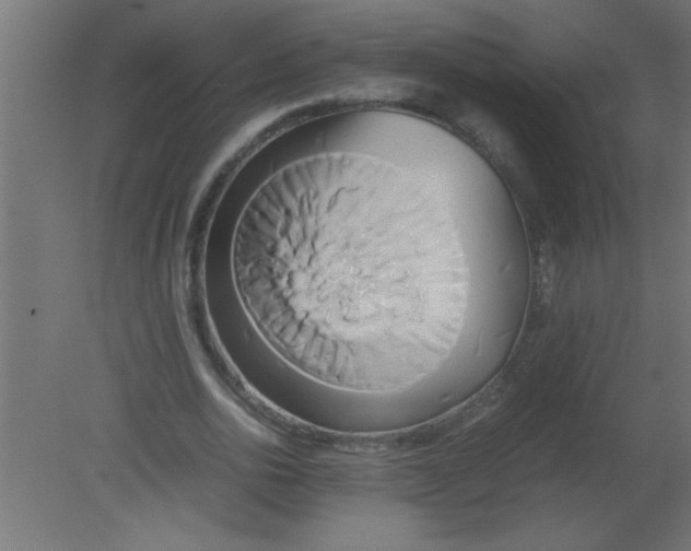 X0000080800726200701122214