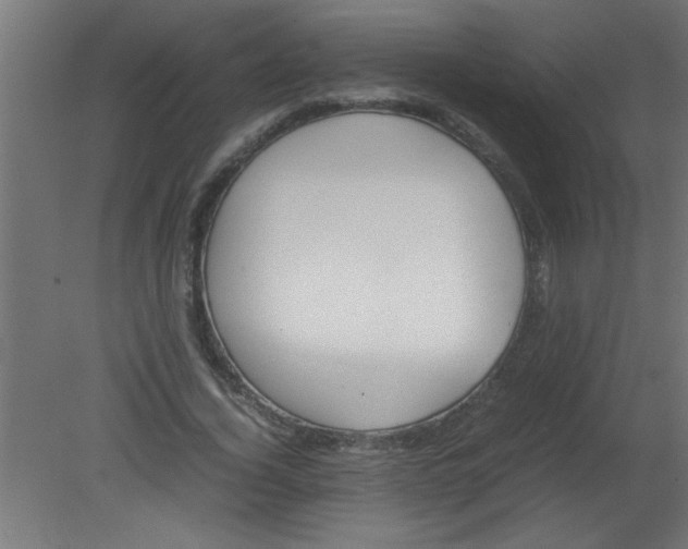 X0000080800732200701122214