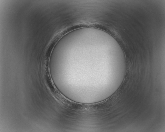 X0000080800736200701122214