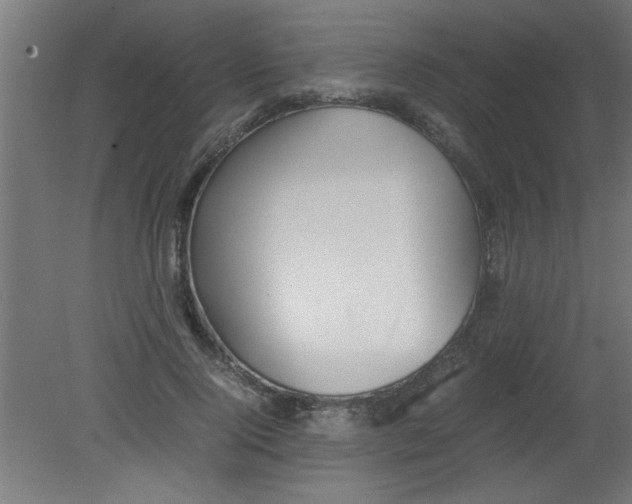 X0000080800740200701122214