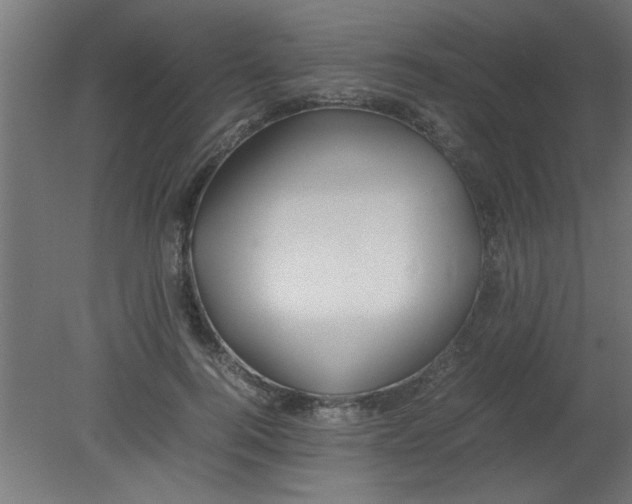 X0000080800744200701122214