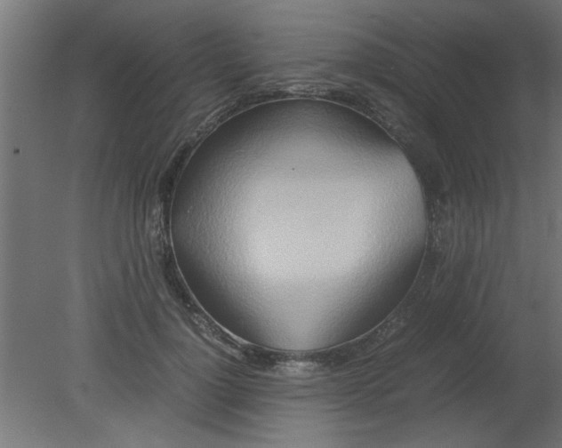 X0000080800748200701122214