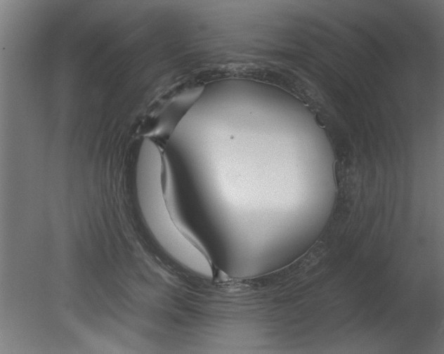 X0000080800750200701122214