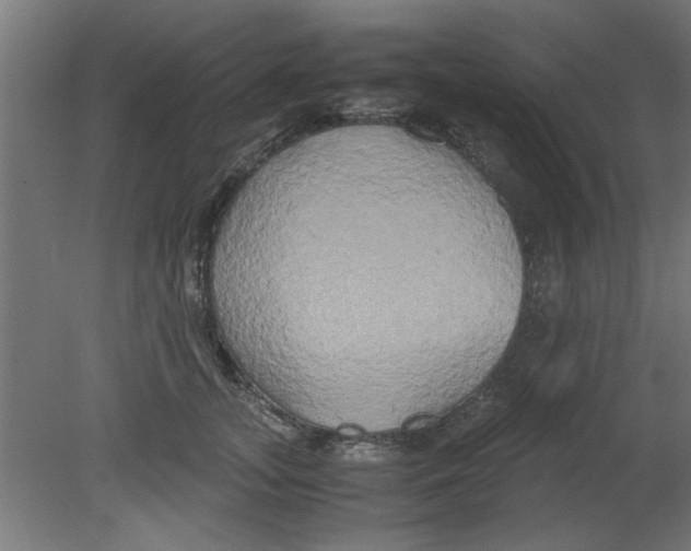 X0000080800755200701122214