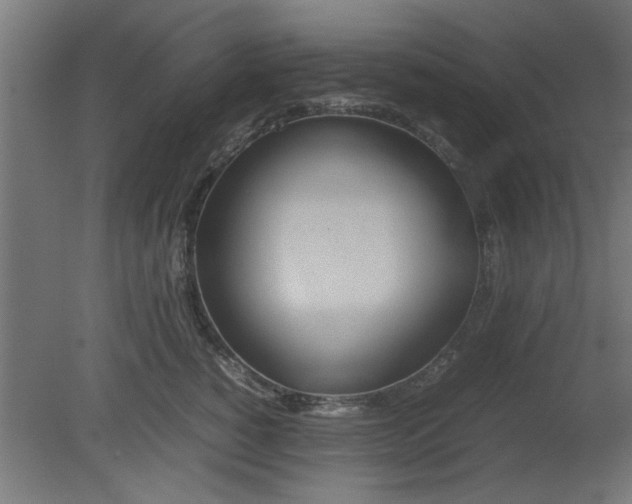 X0000080800760200701122214