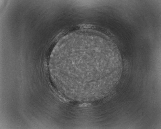 X0000080800761200701122214