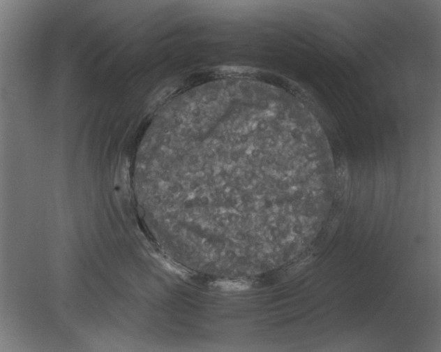 X0000080800765200701122214