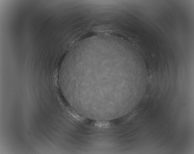 X0000080800767200701122214