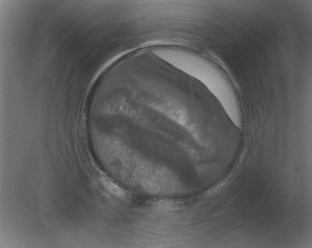 X0000080800779200701122213