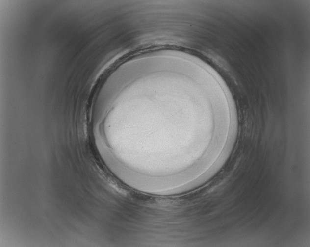 X0000080800782200701122213