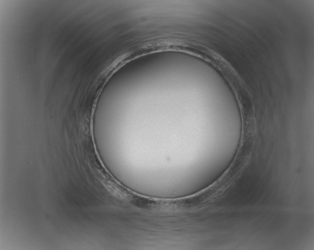 X0000080800785200701122213