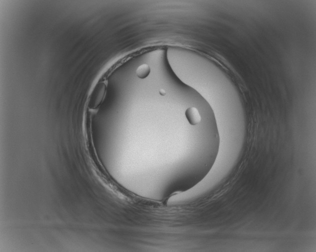 X0000080800788200701122213