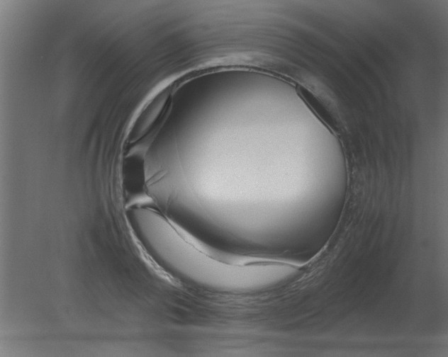 X0000080800792200701122213