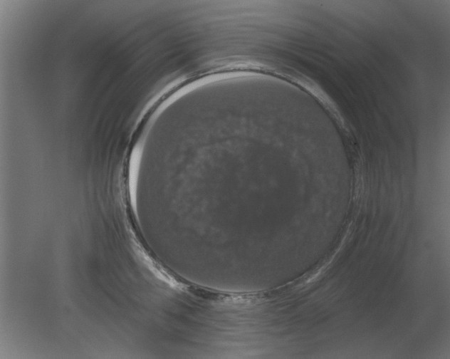 X0000080800806200701122213