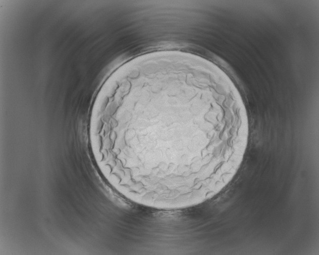 X0000080800810200701122213