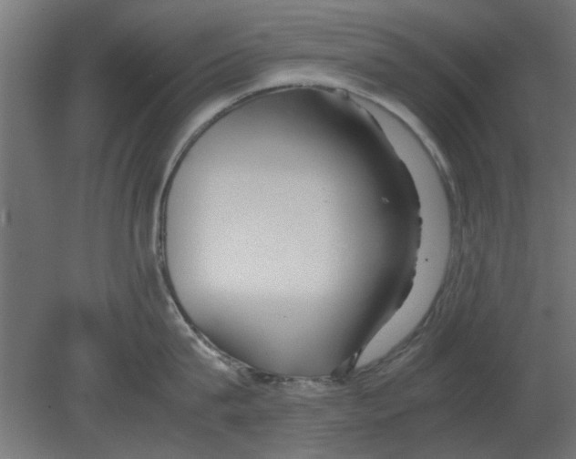 X0000080800815200701122213
