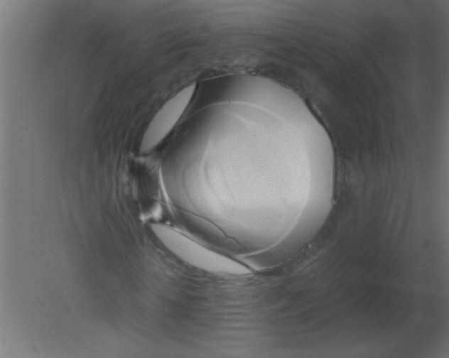 X0000080800818200701122212
