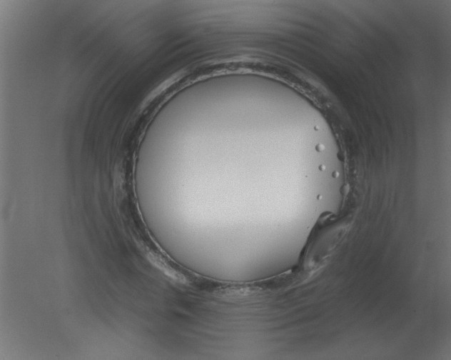 X0000080800826200701122212