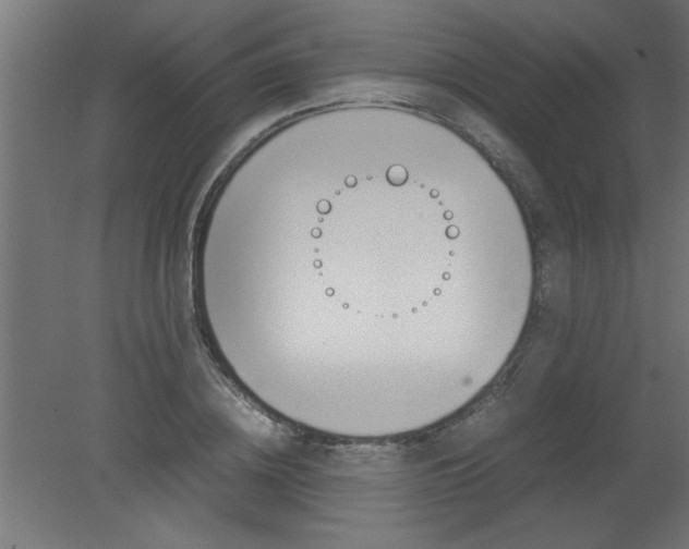 X0000080800836200701122212