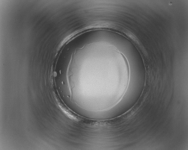 X0000080800842200701122212