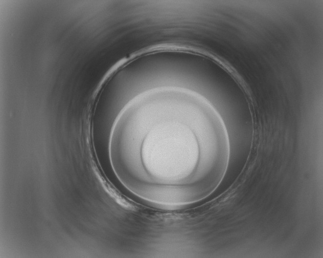 X0000080800862200701122213