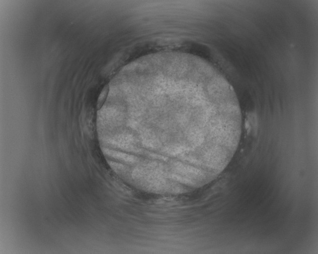 X0000080800867200701122212