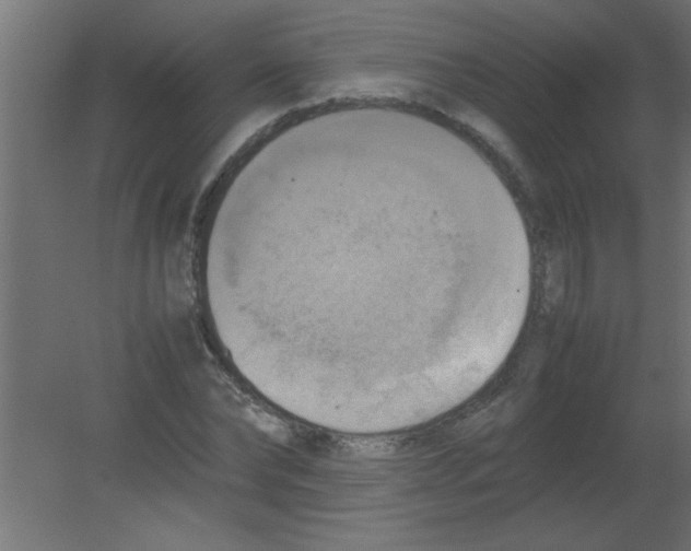 X0000080800878200701122212