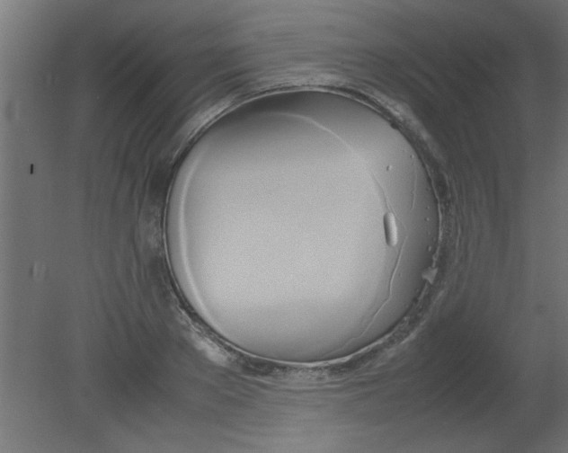 X0000080800889200701122212