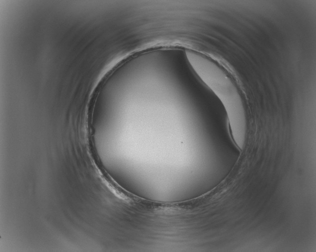 X0000080800894200701122211