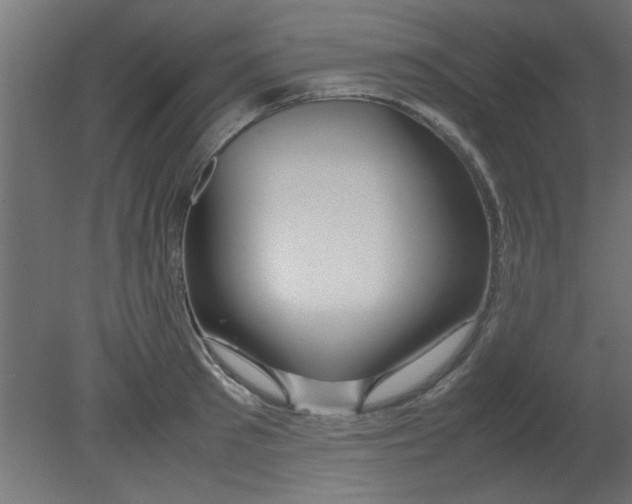 X0000080800897200701122211