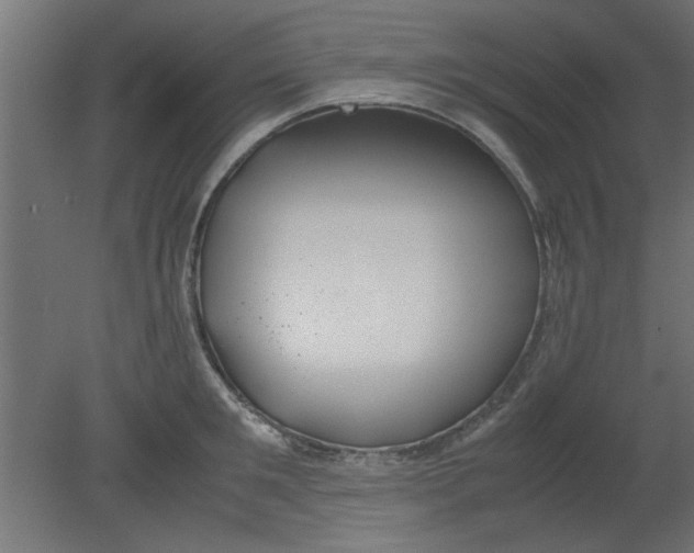 X0000080800901200701122211