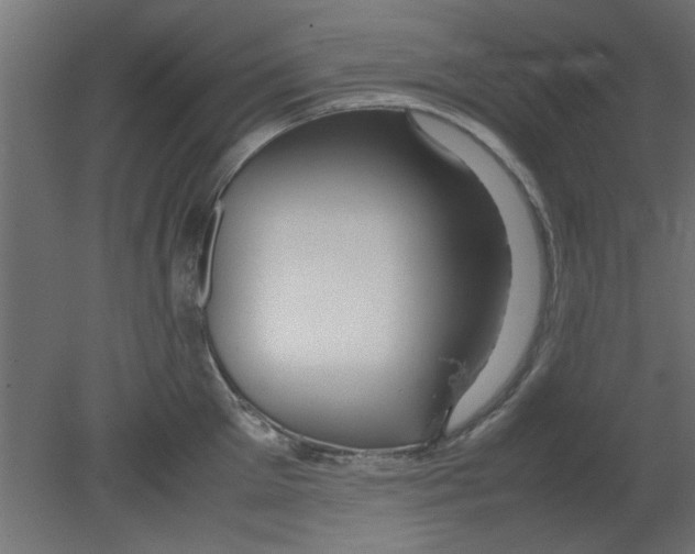 X0000080800905200701122211