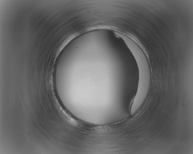 X0000080800906200701122211