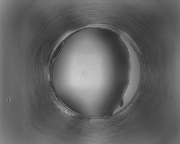 X0000080800908200701122211
