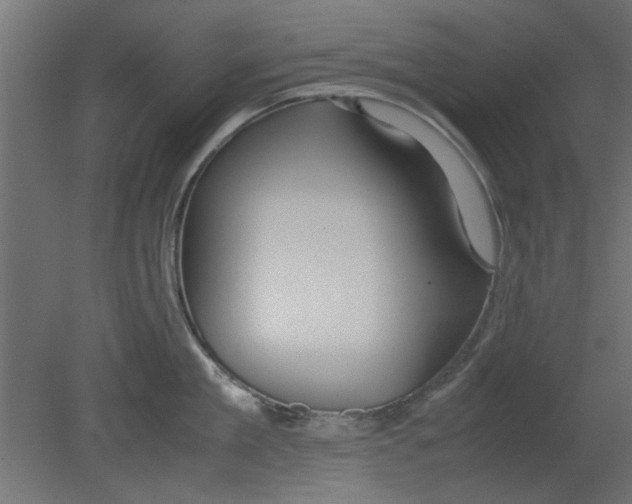 X0000080800909200701122211