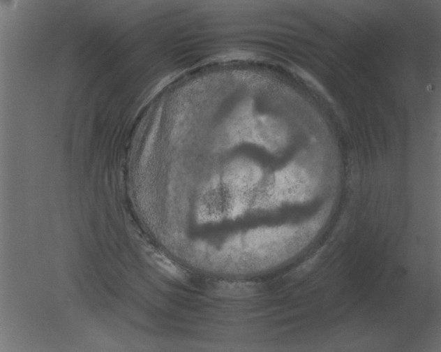 X0000080800921200701122210