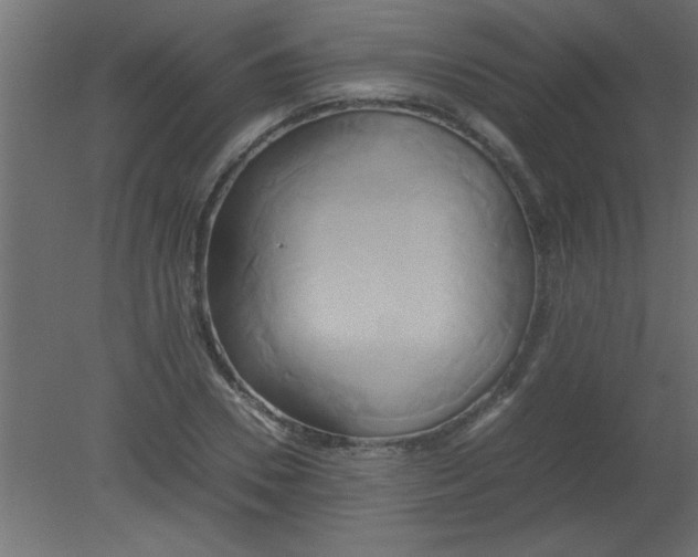 X0000080800930200701122211