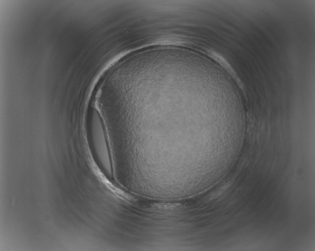 X0000080800939200701122211