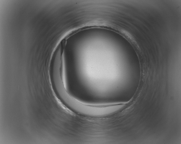 X0000080800942200701122211
