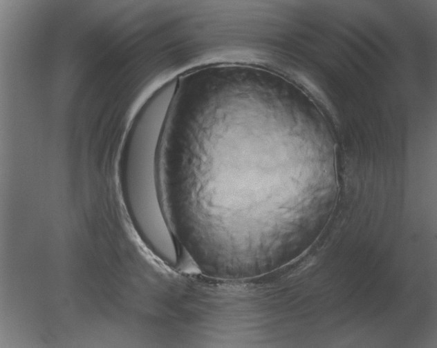 X0000080800944200701122211