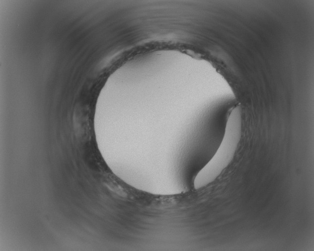 X0000080800968200701122210