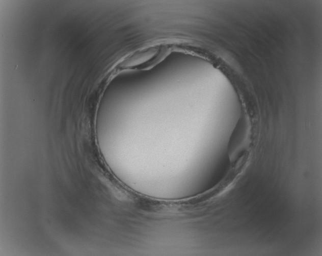 X0000080800969200701122210