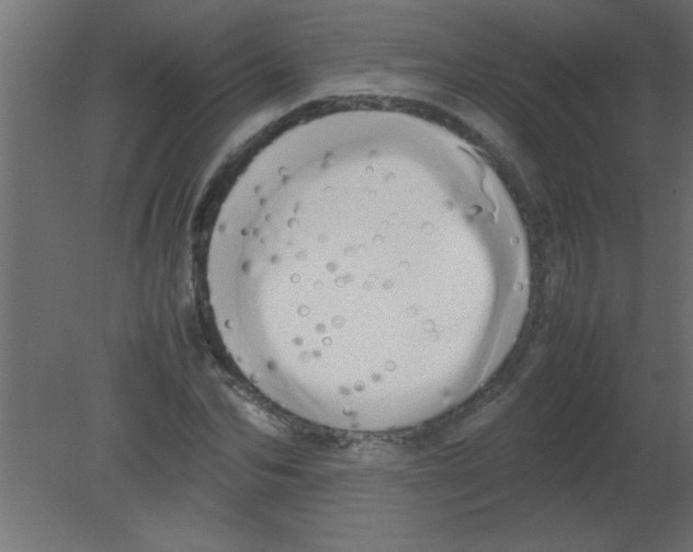 X0000080800974200701122210
