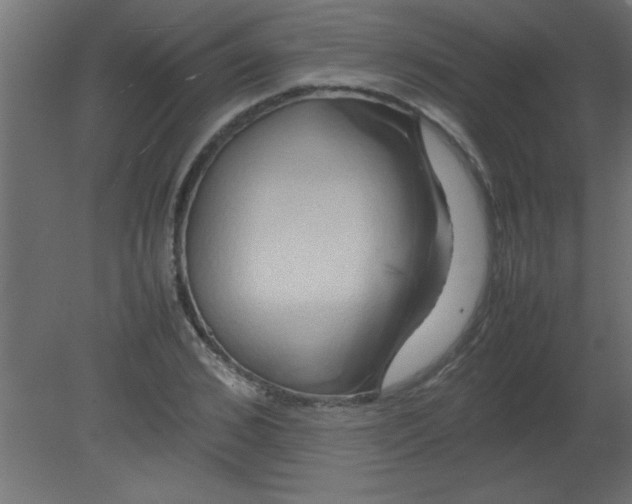 X0000080800976200701122210