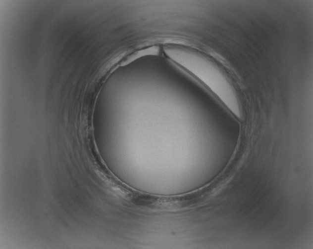 X0000080800977200701122210