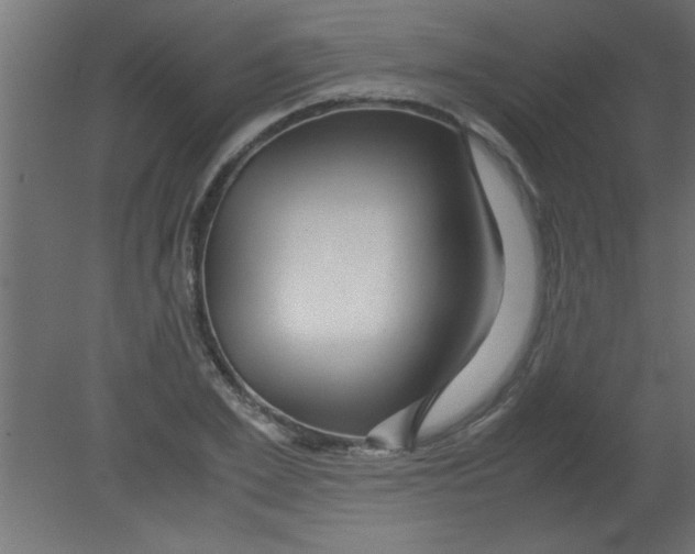 X0000080800981200701122210
