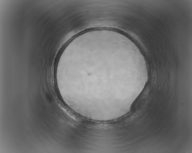 X0000080800982200701122210