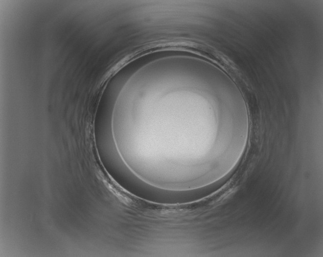 X0000080800985200701122210